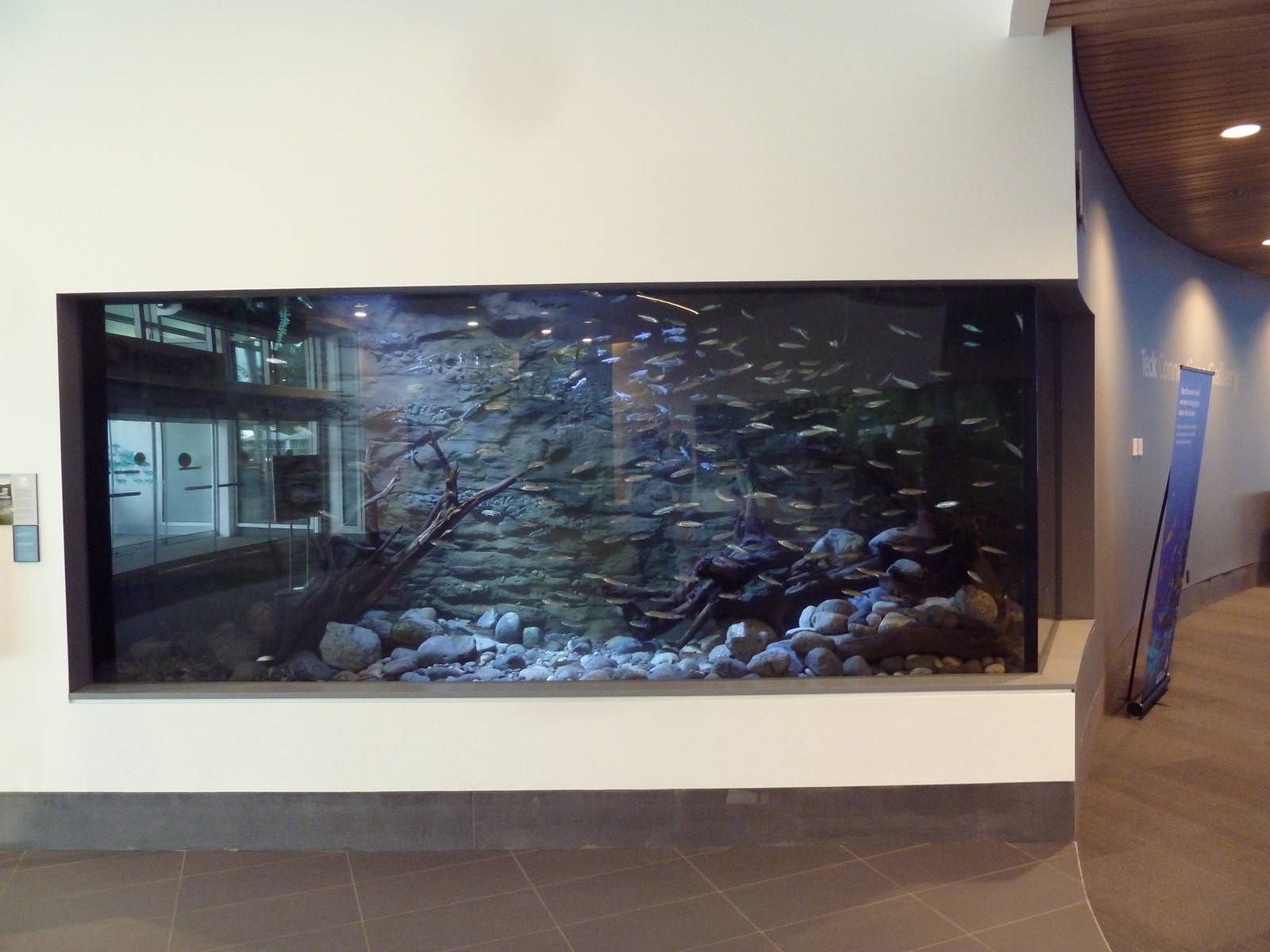 $45 Million Expansion (2014) - Coho Salmon Exhibit