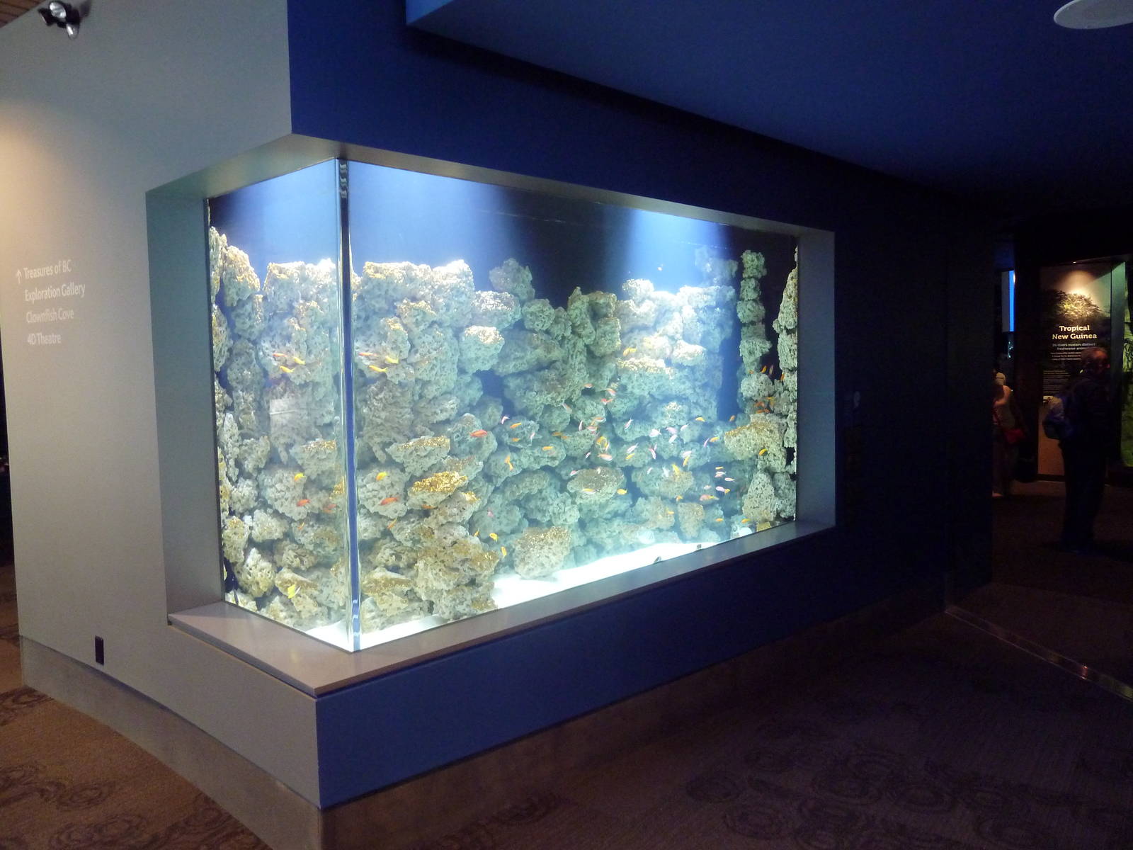 $45 Million Expansion (2014) - Coral Reefs of the Red Sea Exhibit (7 Specie