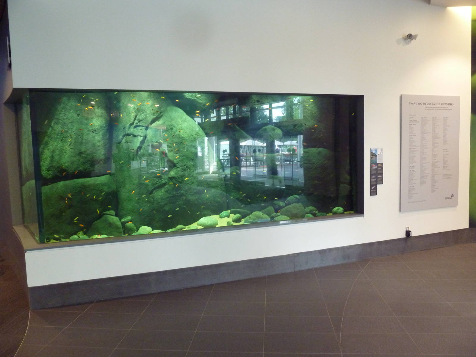 $45 Million Expansion (2014) - Lake Malawi Exhibit (5 Species)