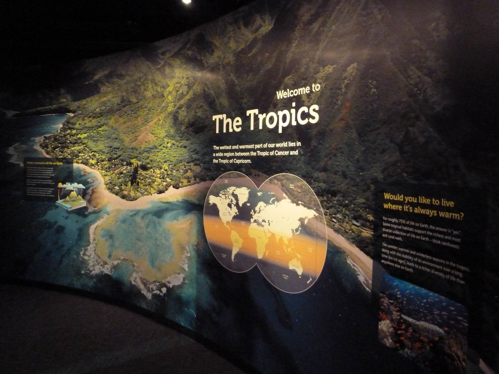 $45 Million Expansion (2014) - New Amazon Gallery Signage