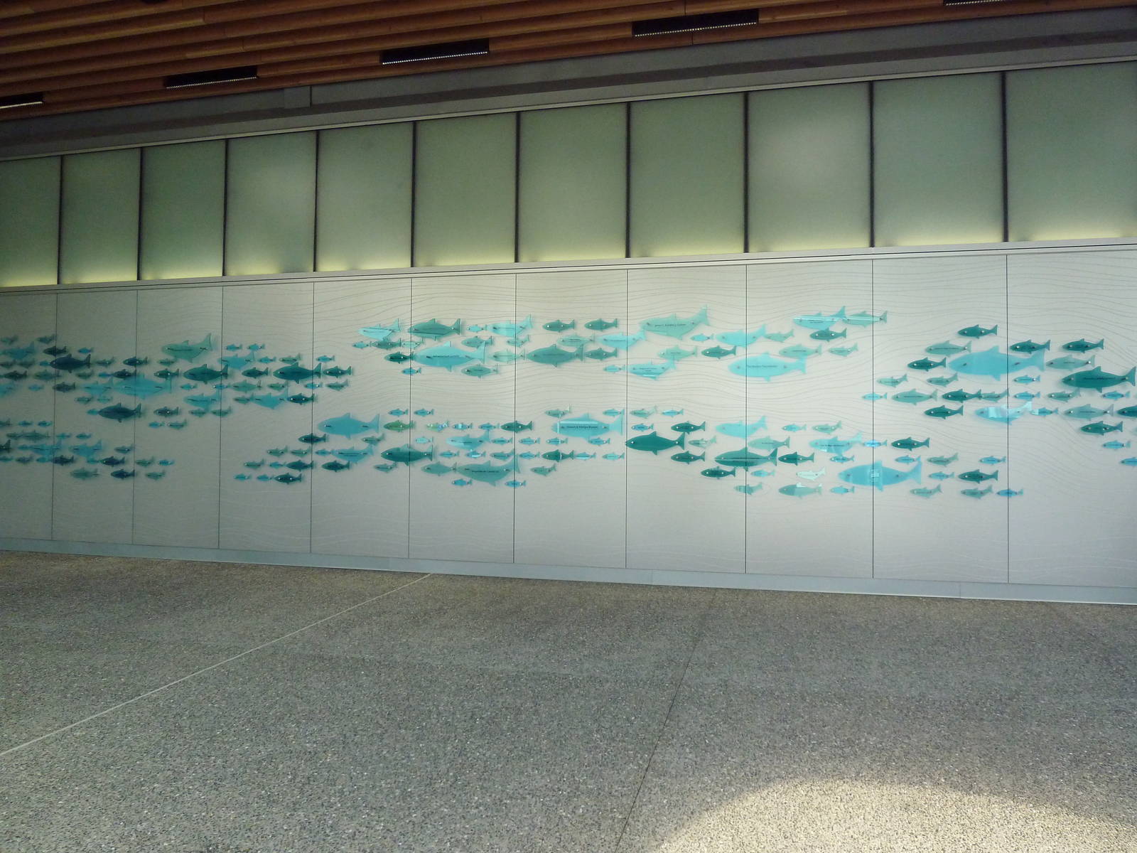 $45 Million Expansion (2014) - New Donor Wall