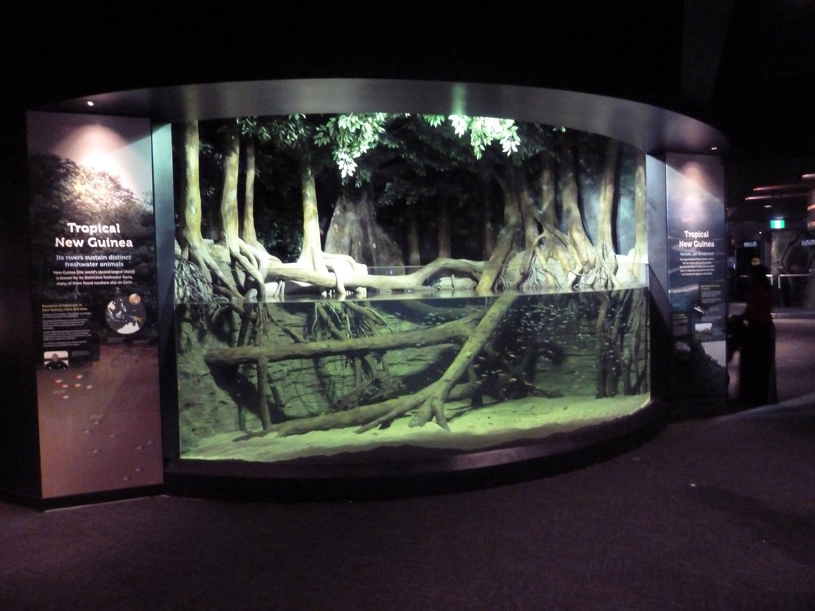 $45 Million Expansion (2014) - Tropical New Guinea Exhibit (Fly River)