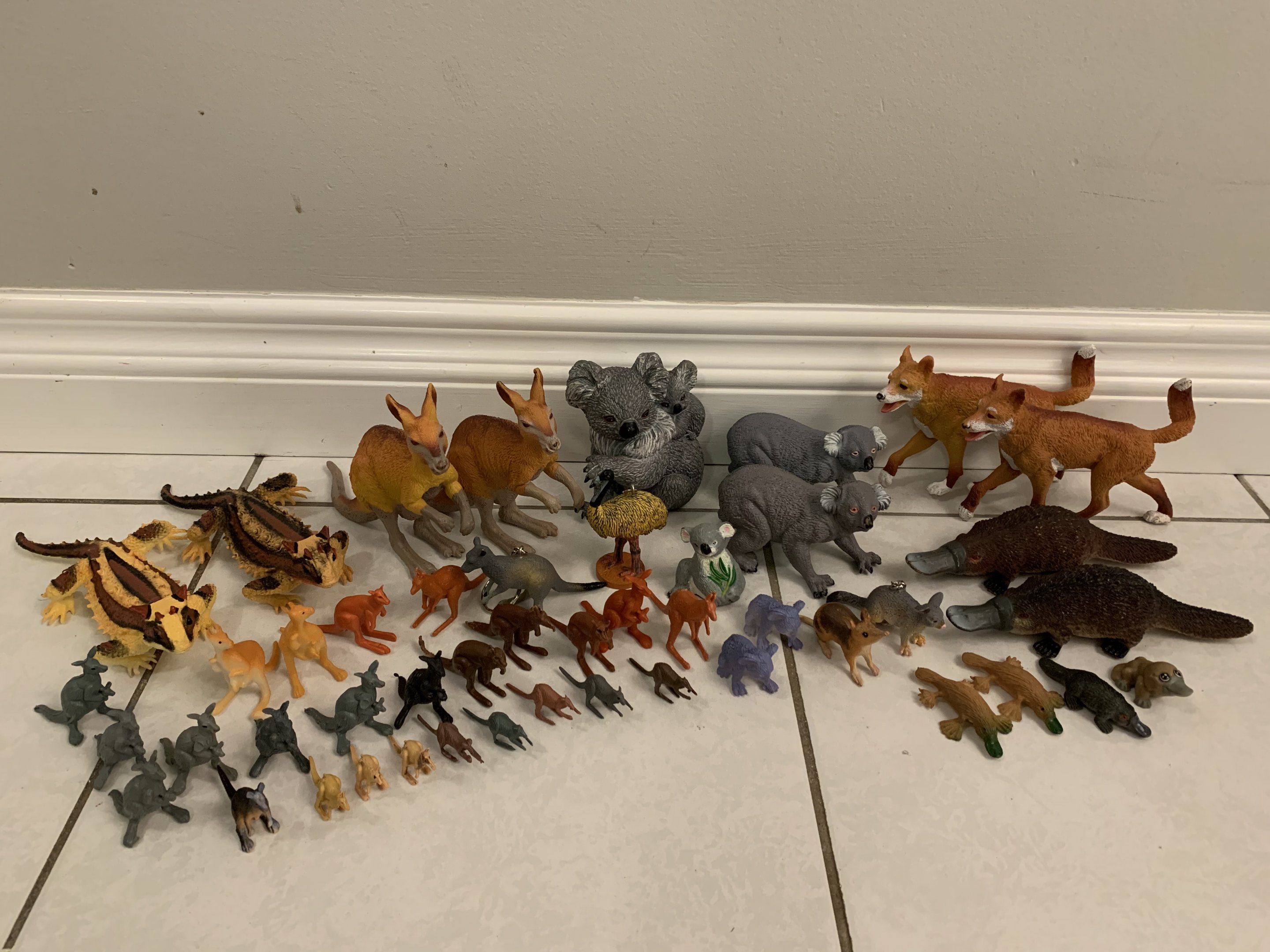 47 Australian Animals