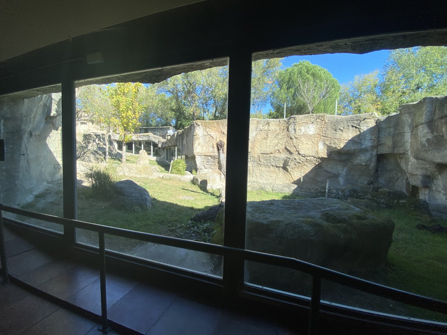 4th view of Outdoor Western Lowland gorilla enclosure