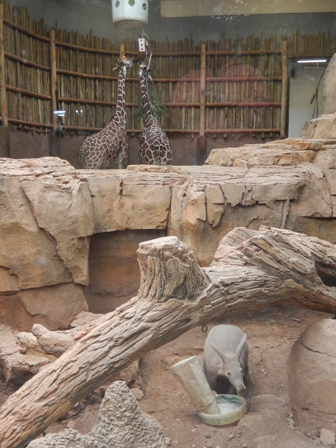 5/13/2023 - An Awesome Panorama!