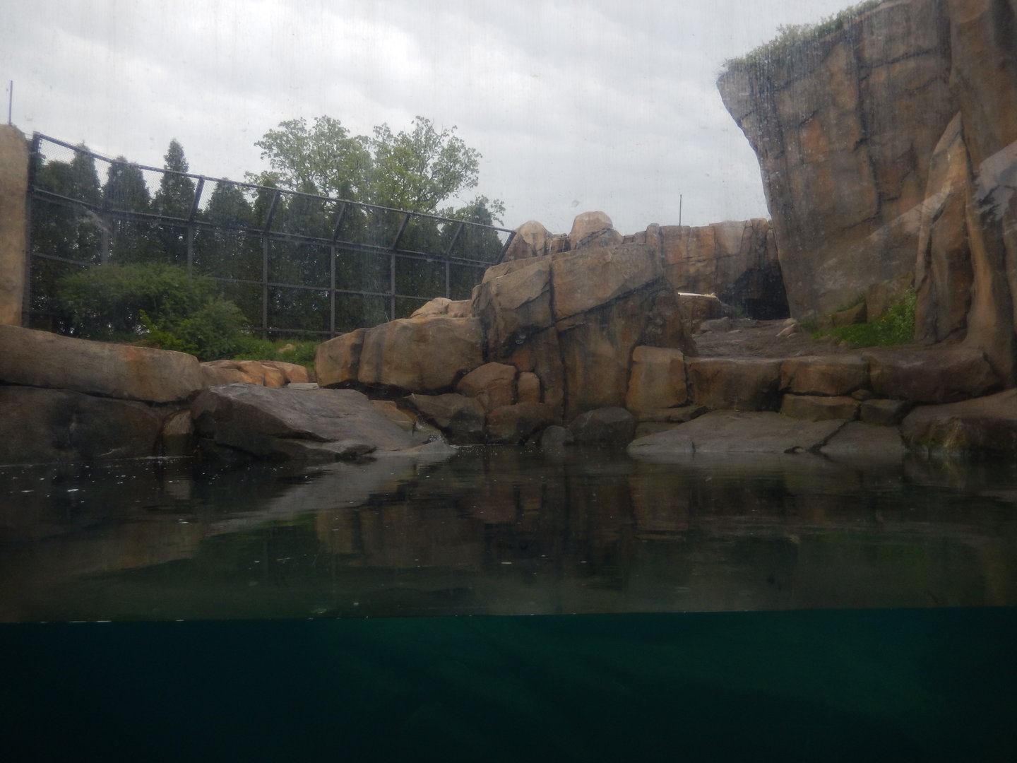 5/13/2023 - Arctic Tundra (Larger Habitat)