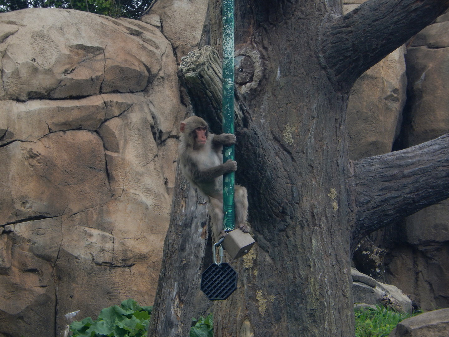 5/13/2023 - Getting in the Swing