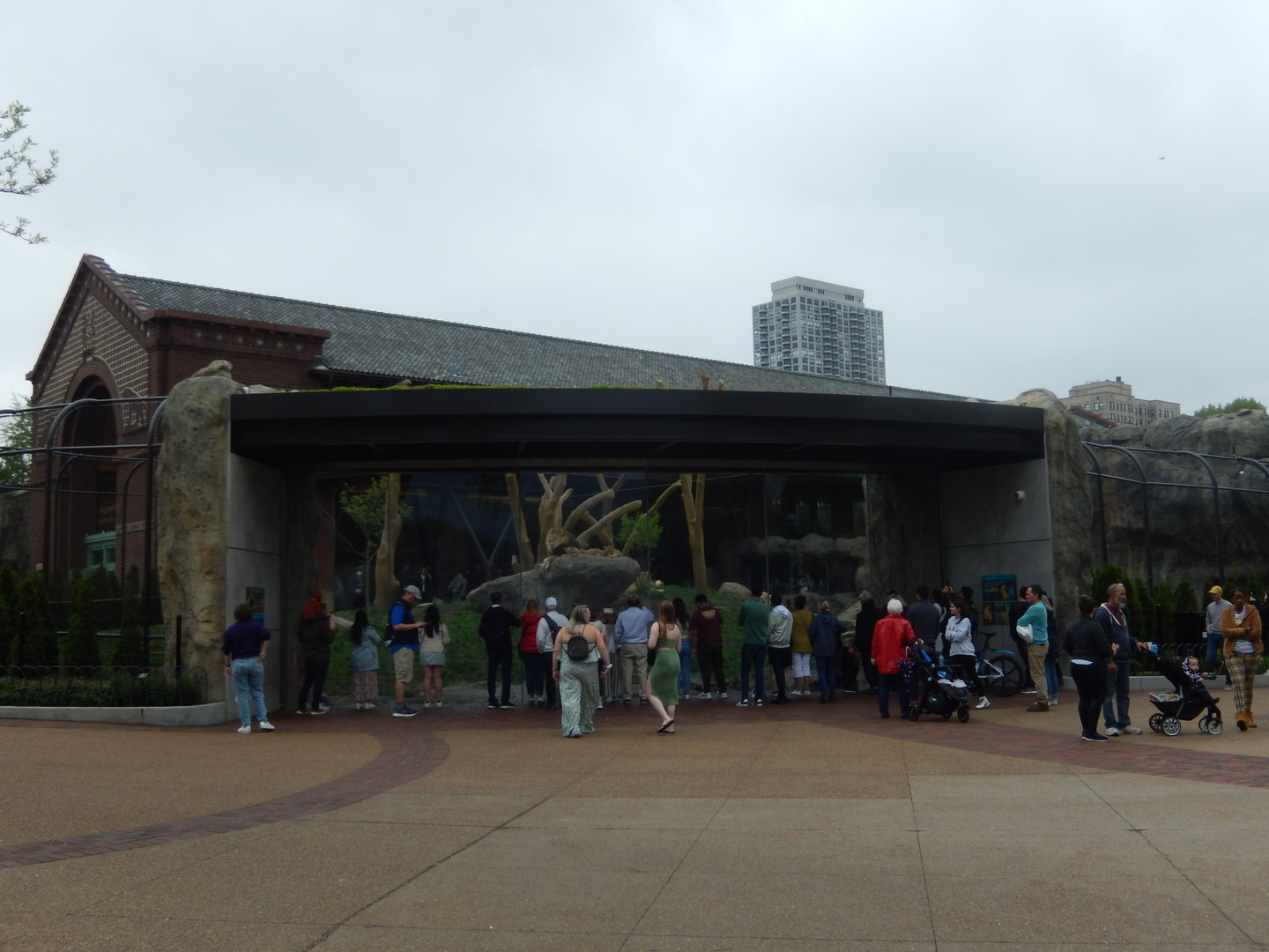 5/13/2023 - Pepper Family Wildlife Center - First View