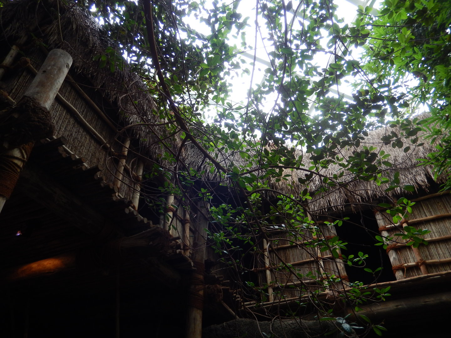 5/13/2023 - Researcher's Cabin