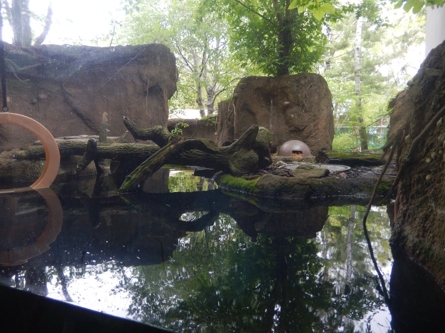 5/13/2023 - River Otter Habitat
