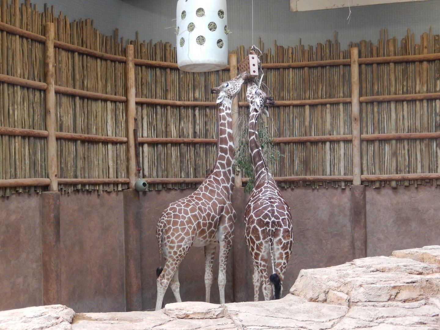 5/13/2023 - Sharing is Caring