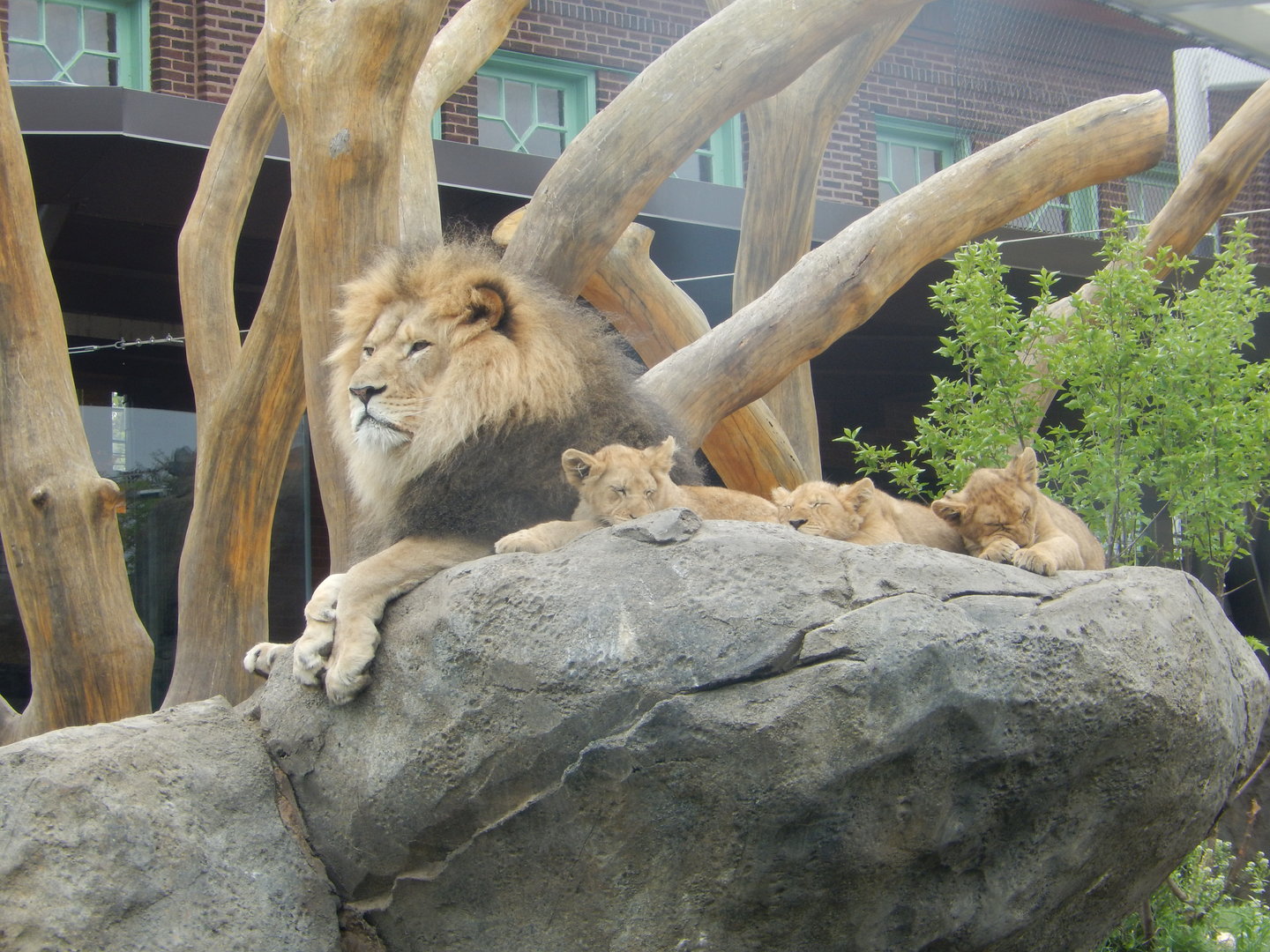 5/13/2023 - The King and Princes