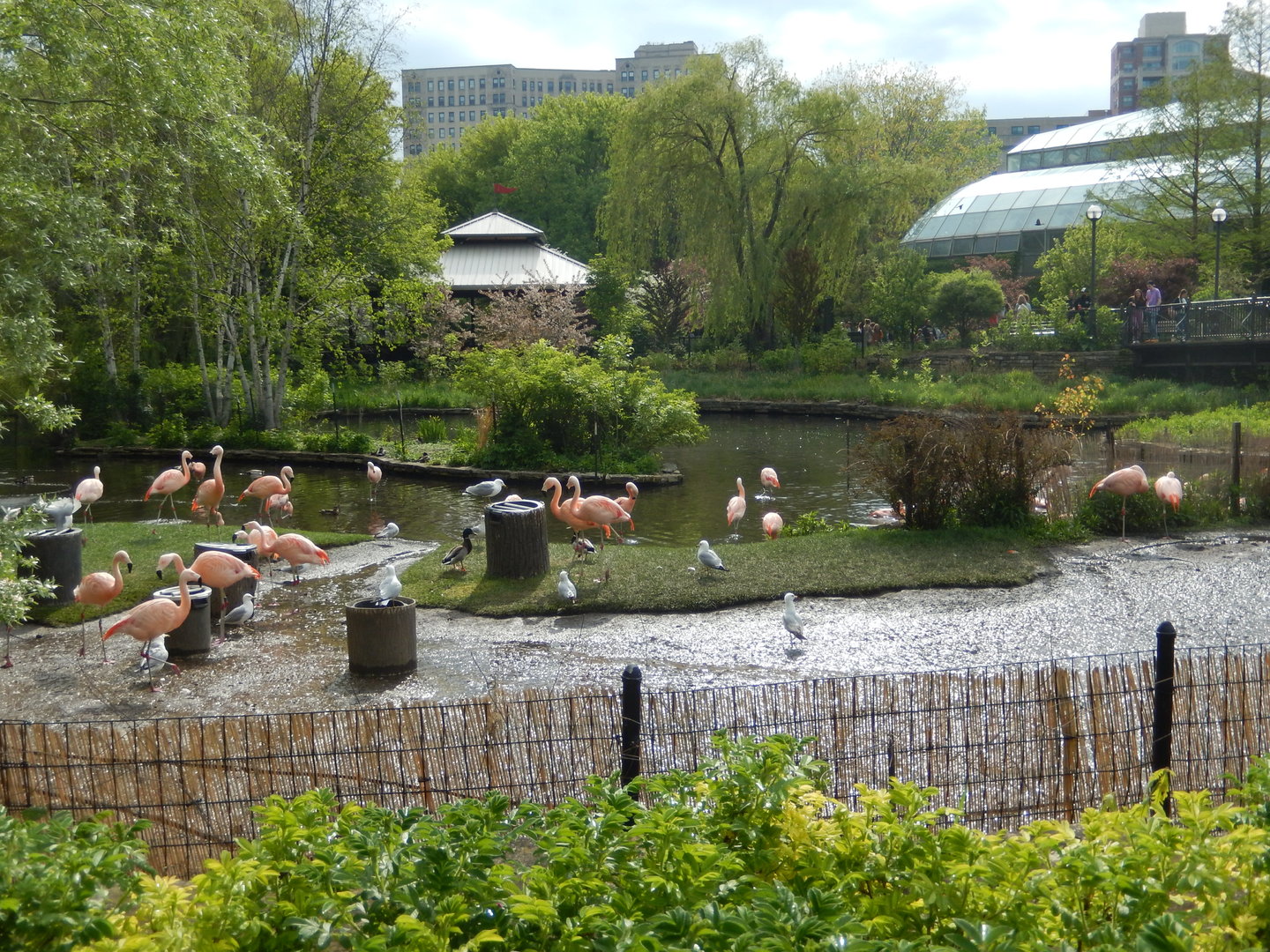 5/13/2023 - Waterfowl Lagoon