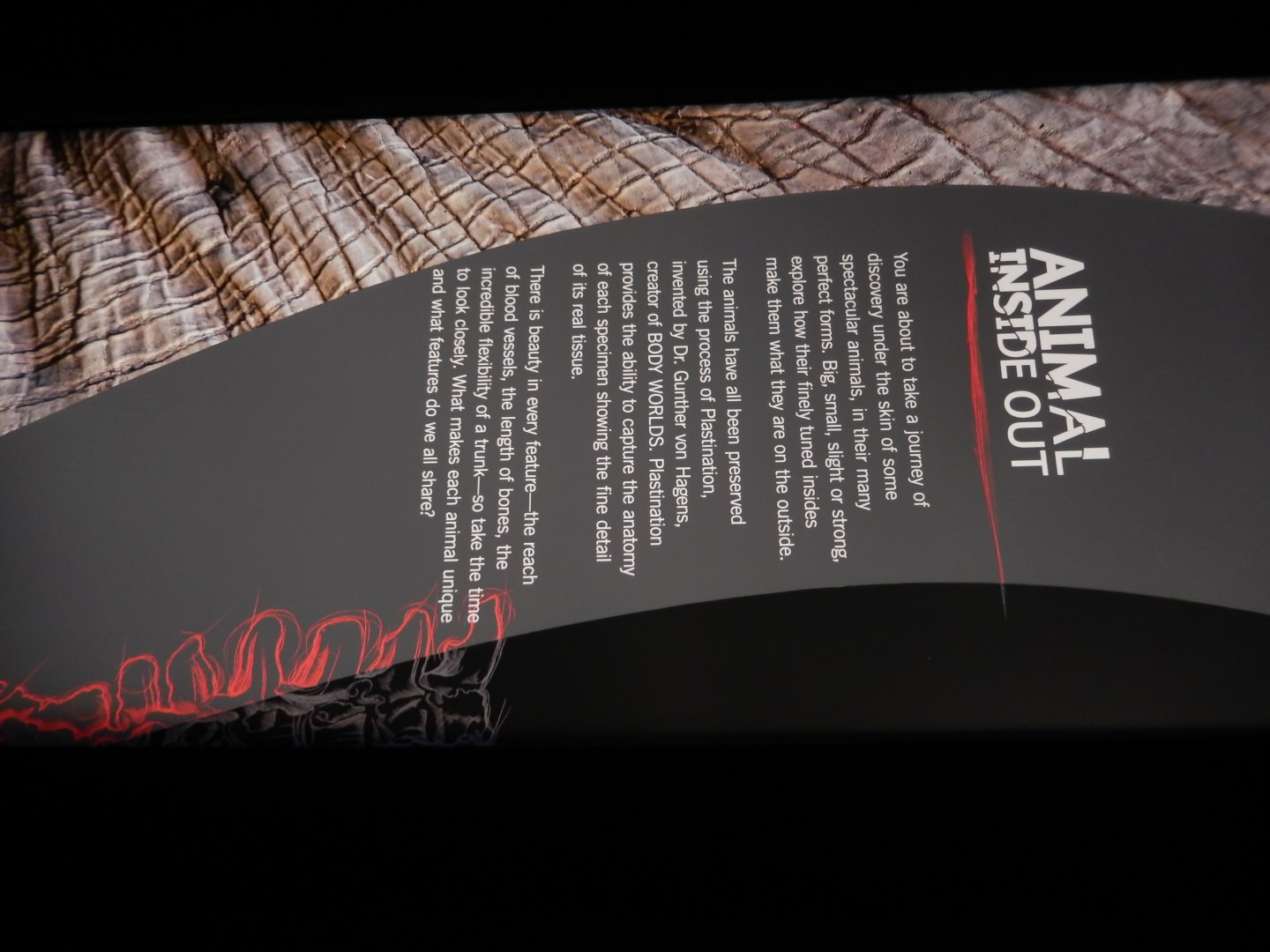 5/17/2017 - Body Worlds: Animal Inside Out - Info Sign