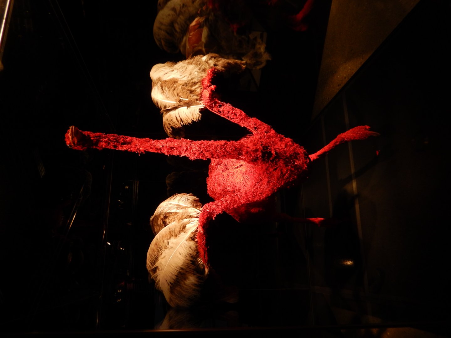 5/17/2017 - Body Worlds: Animal Inside Out - Ostrich Blood Vessel Configuration