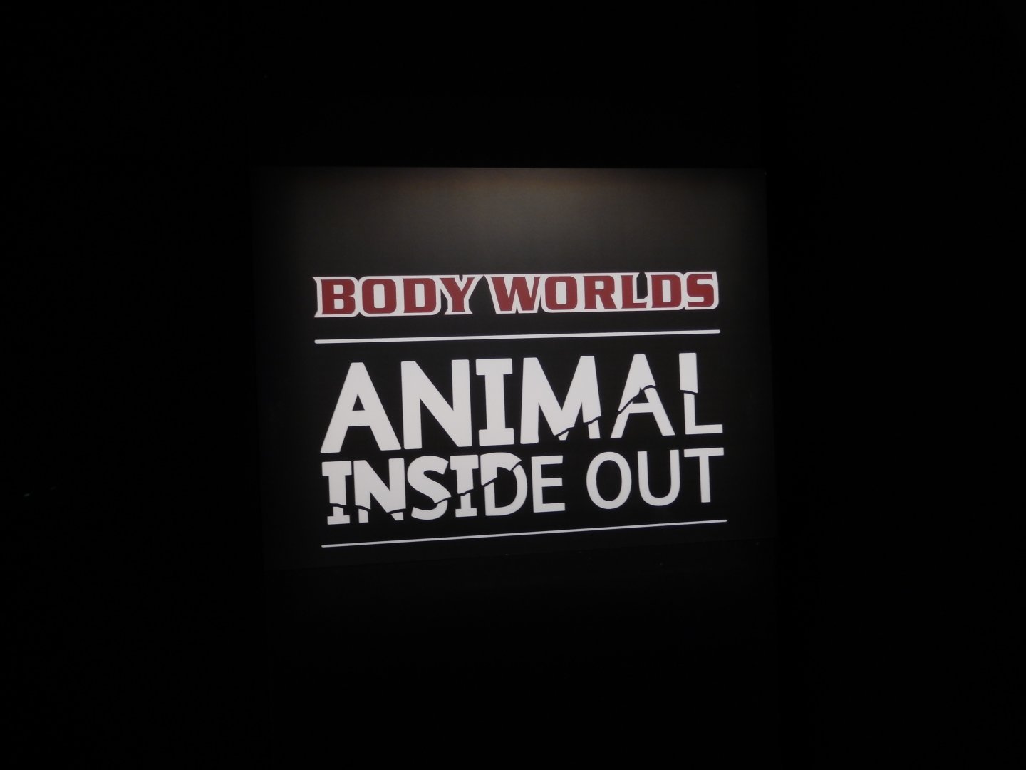 5/17/2017 - Body Worlds: Animal Inside Out