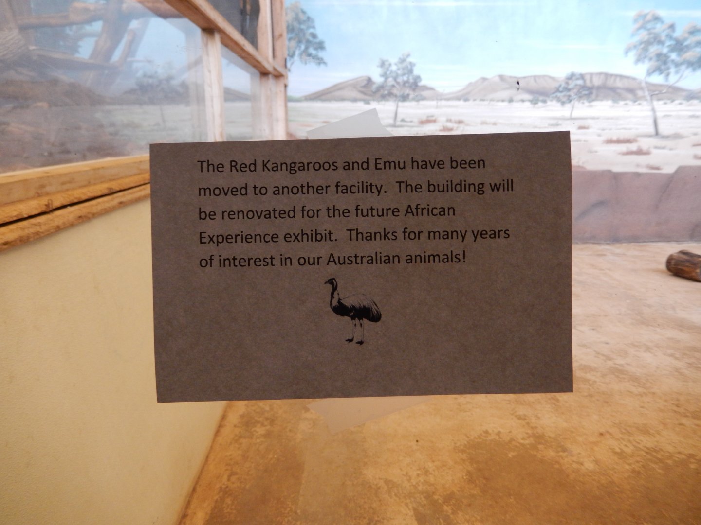 5/17/2017 - Goodbye, kangaroos and emu!