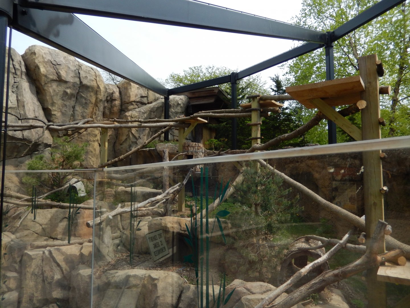 5/17/2017 - Red Panda Exhibit Renovation (Looking to the Left Side)