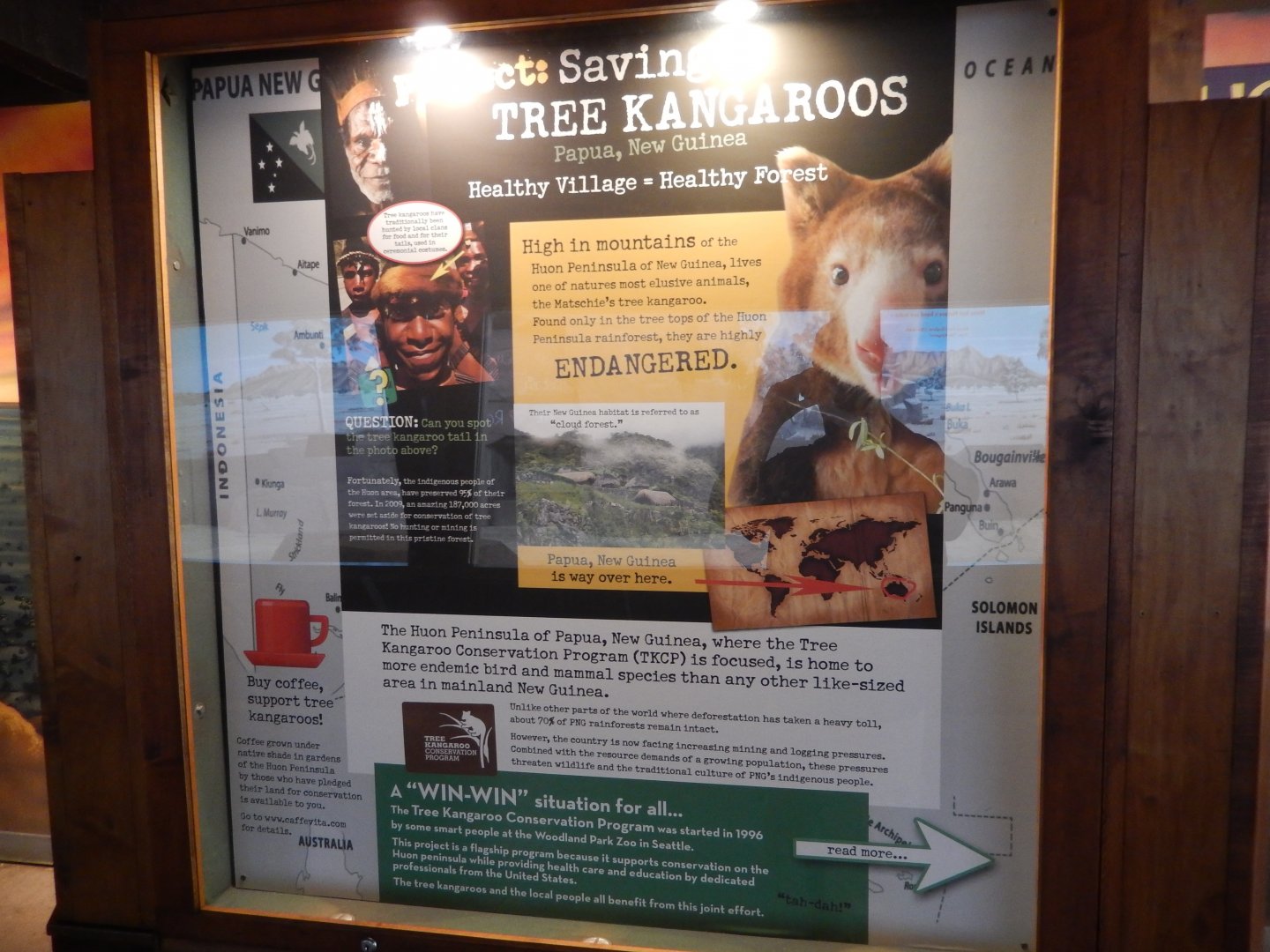 5/17/2017 - Tree Kangaroo Conservation