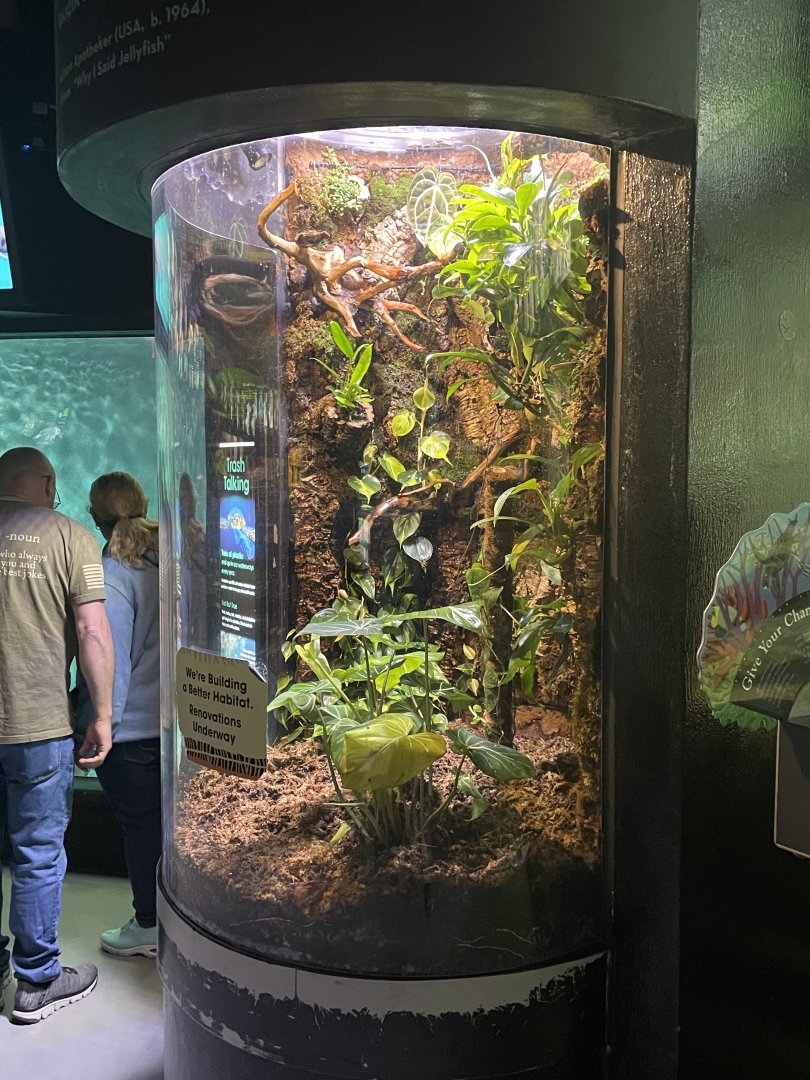 5/17/2025 - Renovated Terrarium