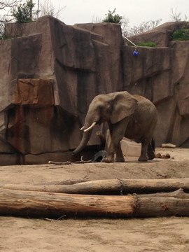 5/19/2014 - Brittany