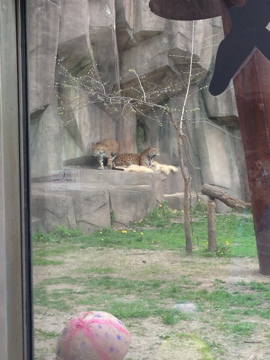 5/19/2014 - Brothers