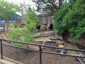 5/19/2014 - Crested Screamer Exhibit