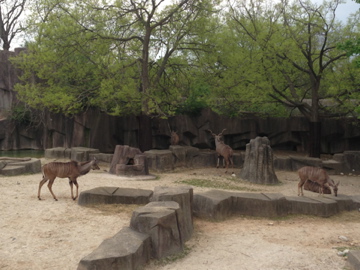 5/19/2014 - Greater Kudus