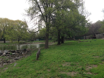 5/19/2014 - Moose Exhibit