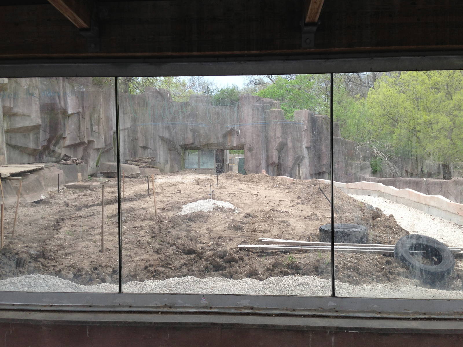 5/19/2014 - Outdoor African Lion/Spotted Hyena Exhibit (under renovation)