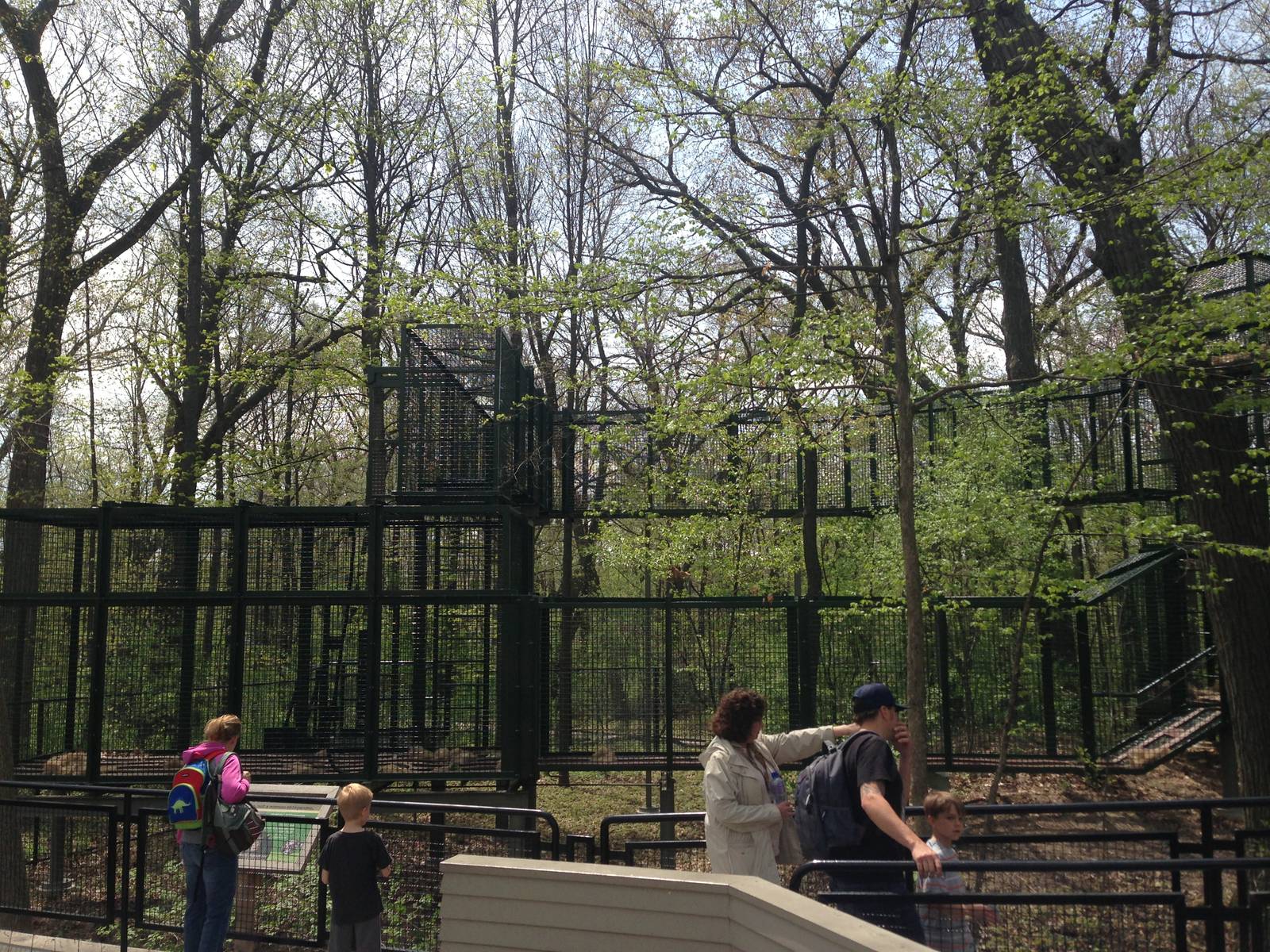 5/19/2014 - Part of Outdoor Bonobo Exhibit