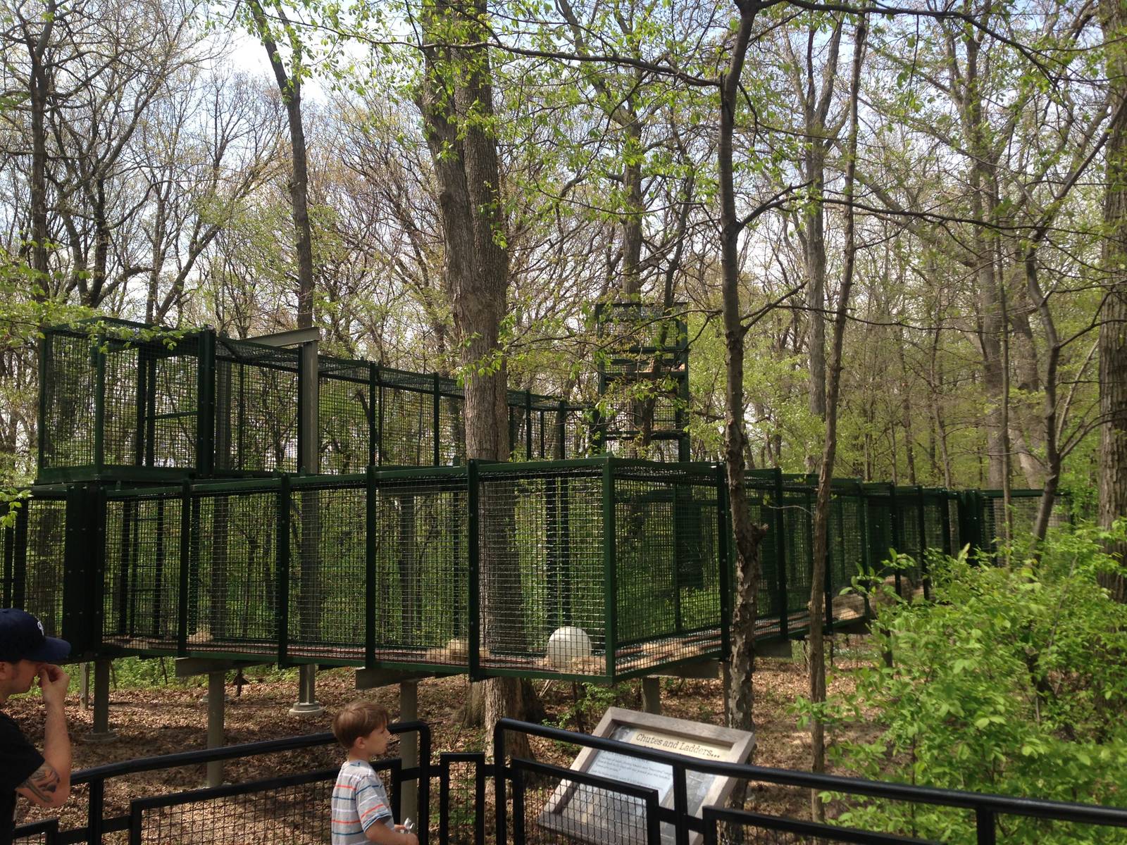 5/19/2014 - Part of Outdoor Bonobo Exhibit