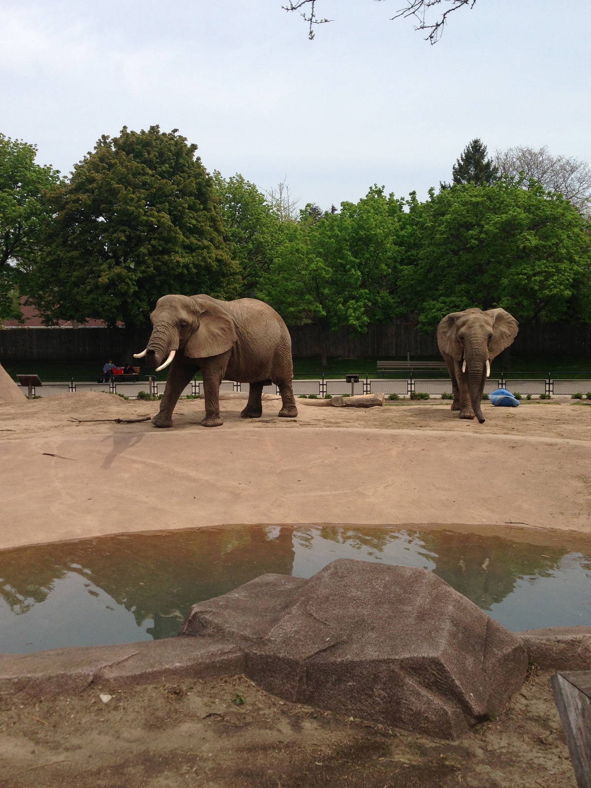 5/19/2014 - Ruth (left) and Brittany (right)