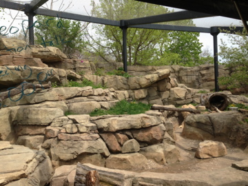 5/19/2014 - Snow Leopard Exhibit
