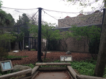 5/19/2014 - Whooping Crane Exhibit