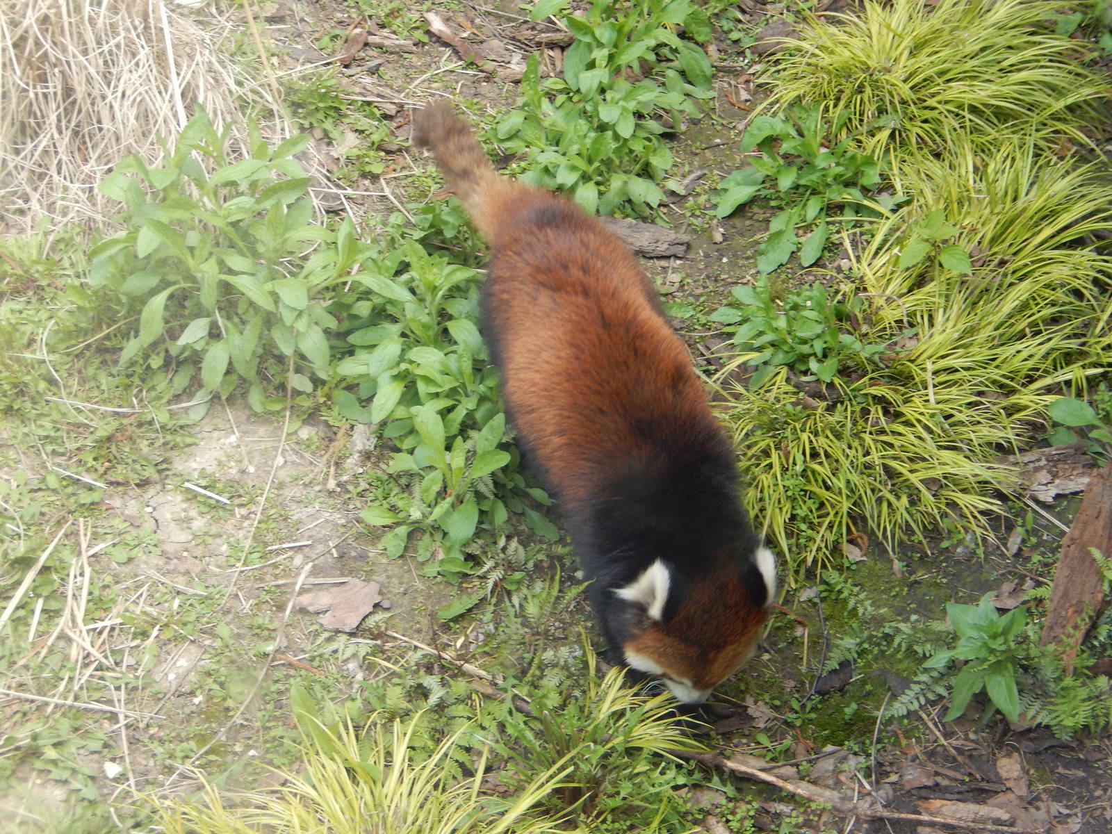 5/19/2016 - Dr. Erin Curry