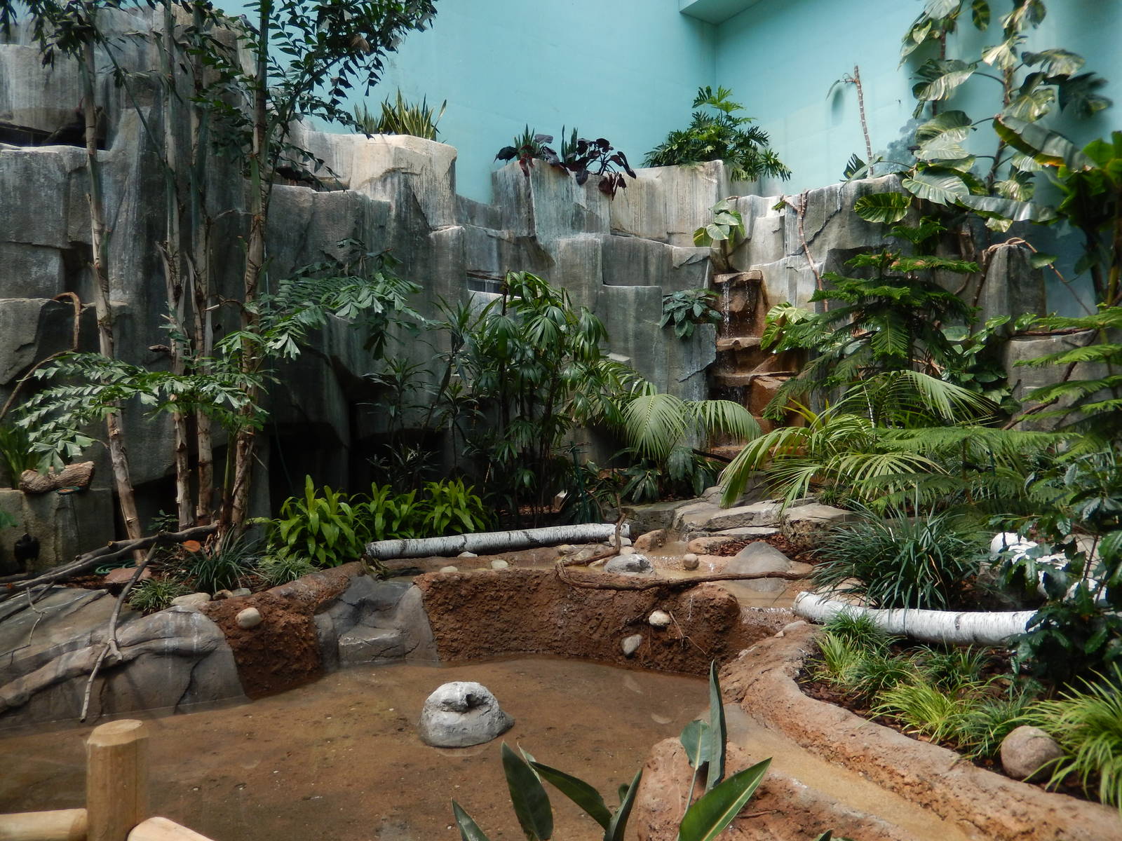 5/19/2016 - Free Flight Section of the Aviary