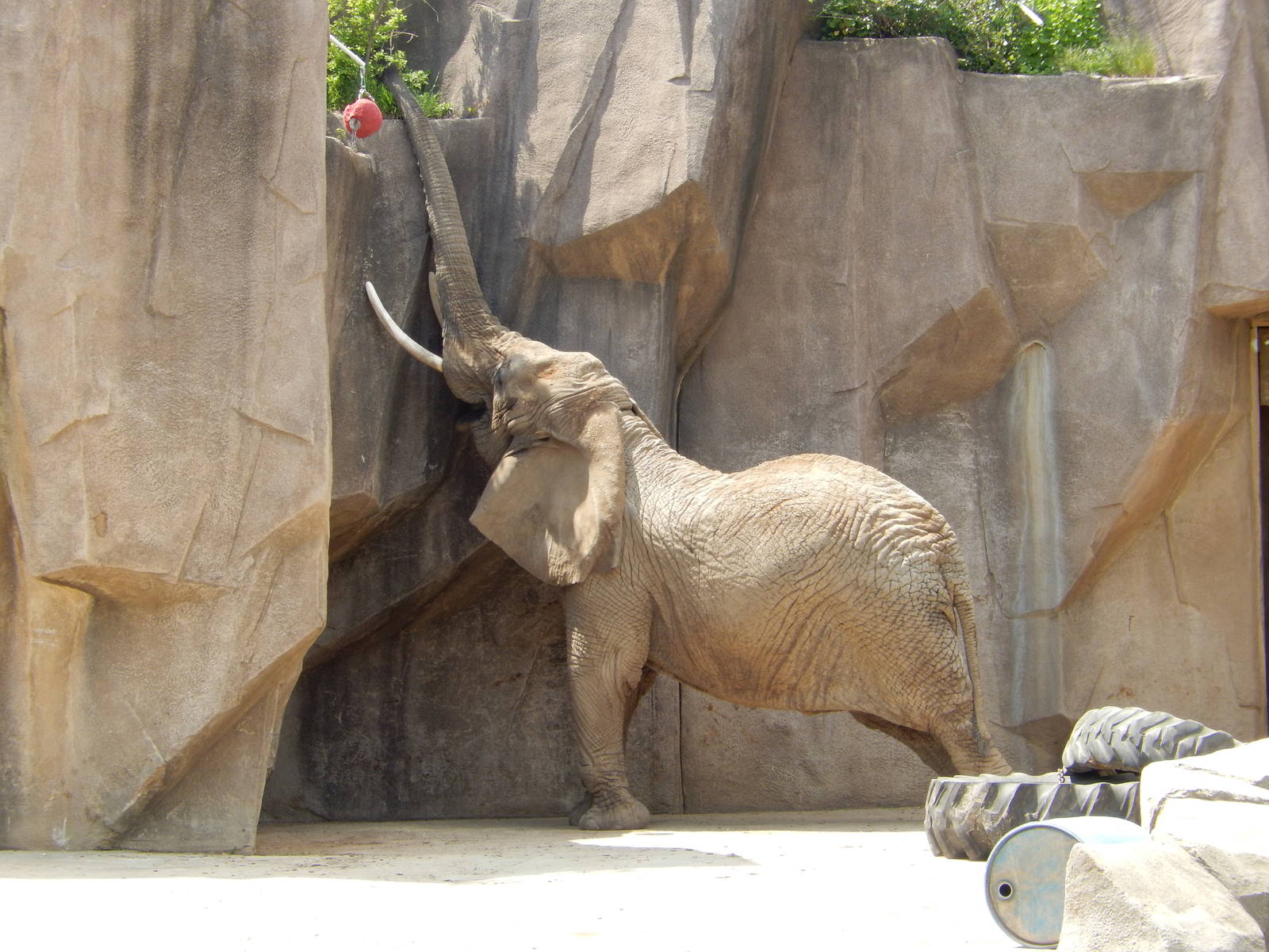 5/19/2016 - Must Get Browse!