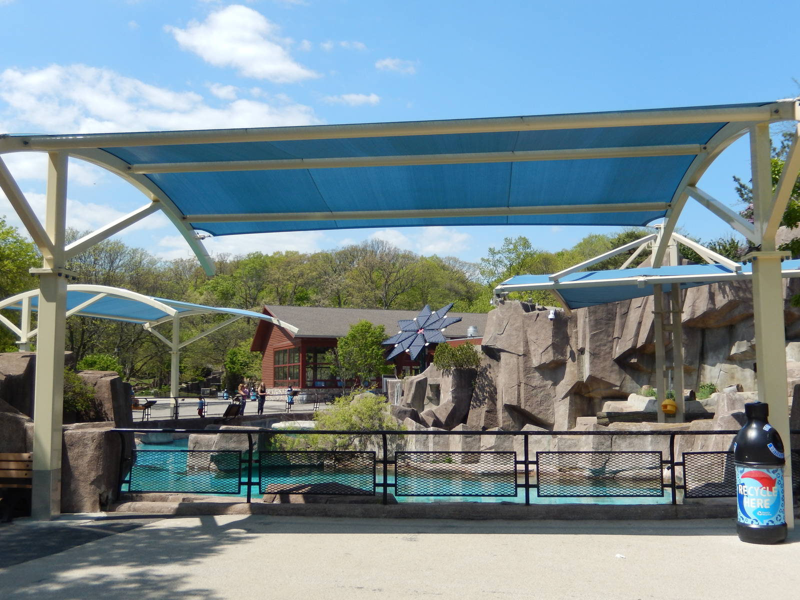 5/19/2016 - New Polar Bear and Seal Shade Structures