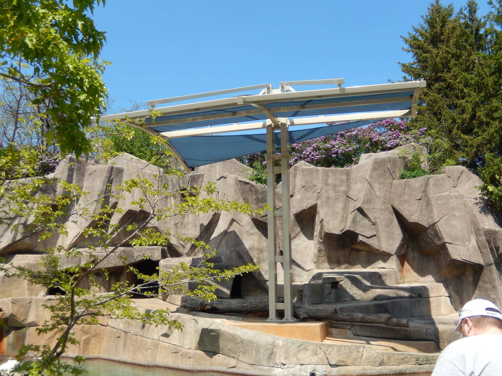 5/19/2016 - Polar Bear Shade Structure