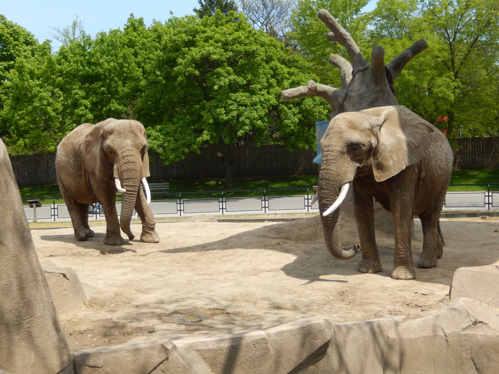 5/19/2016 - Ruth and Brittany