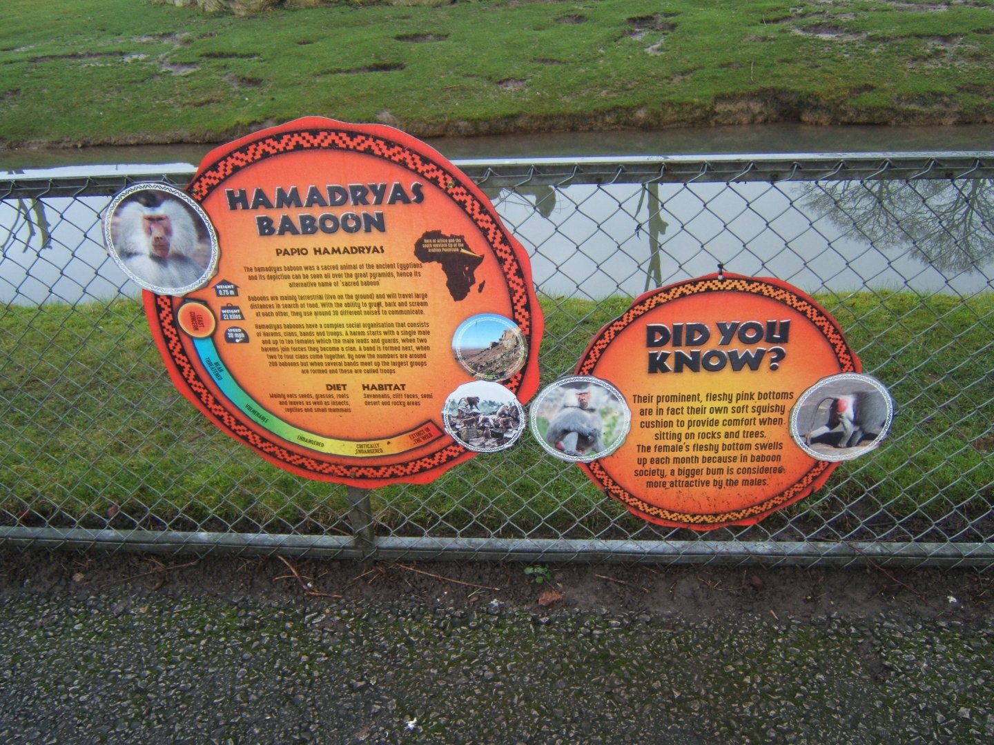 5/2/2017 Signage style