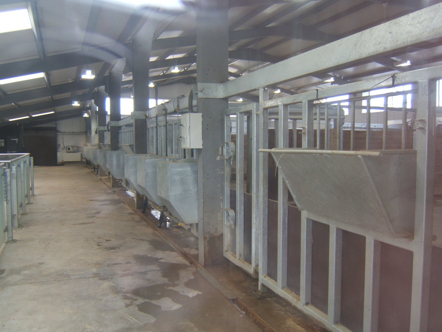 5/2/2017 View of Black Rhino House inside