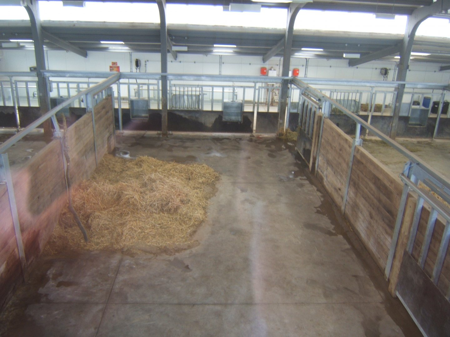 5/2/2017 View of Black Rhino House inside