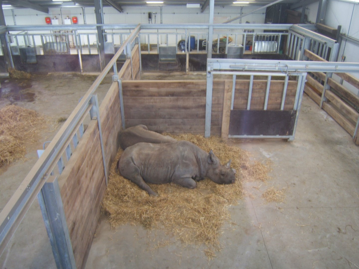 5/2/2017 View of Black Rhino House inside
