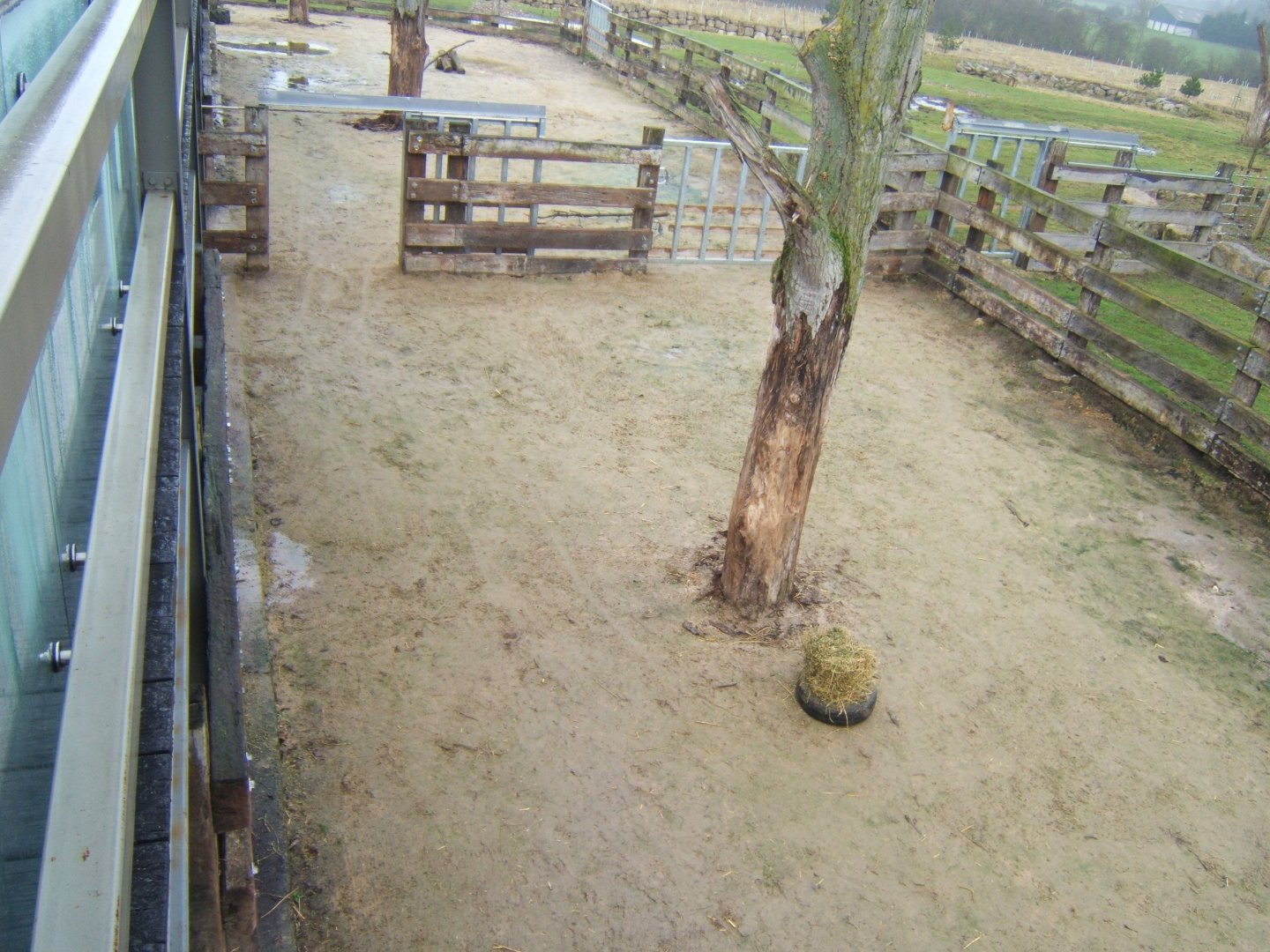 5/2/2017 View of Black Rhino paddocks