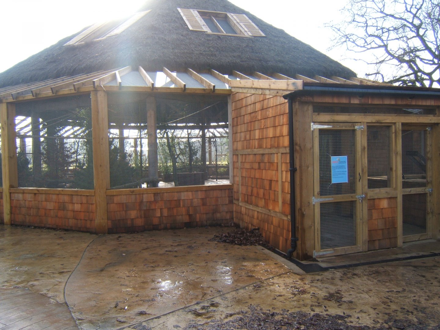 5/2/2017 View of the Lorikeet feeding Aviary