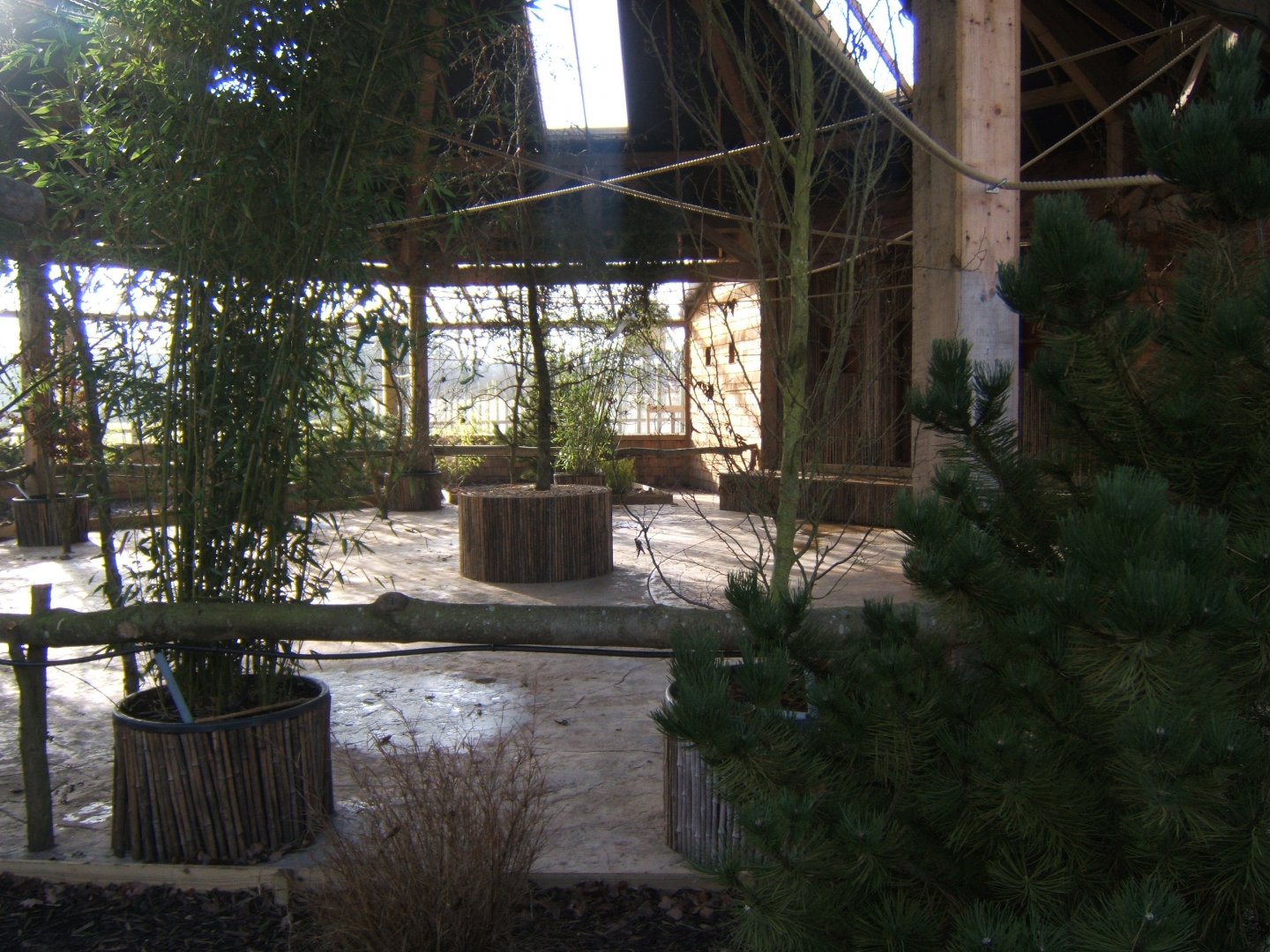 5/2/2017 View of the Lorikeet feeding Aviary