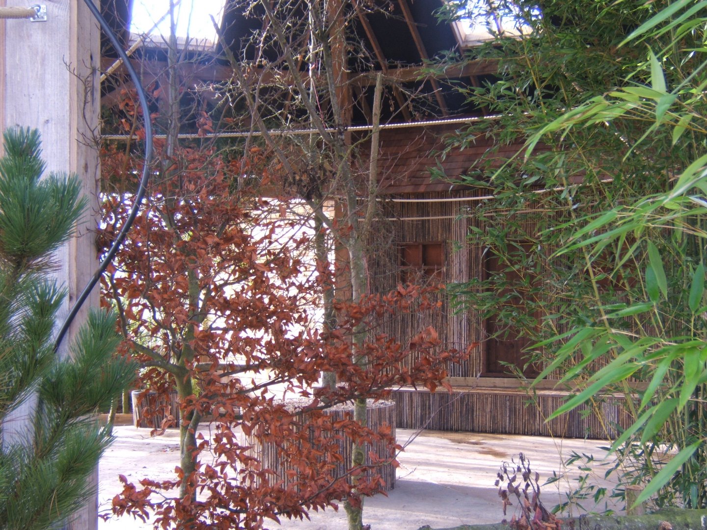 5/2/2017 View of the Lorikeet feeding Aviary