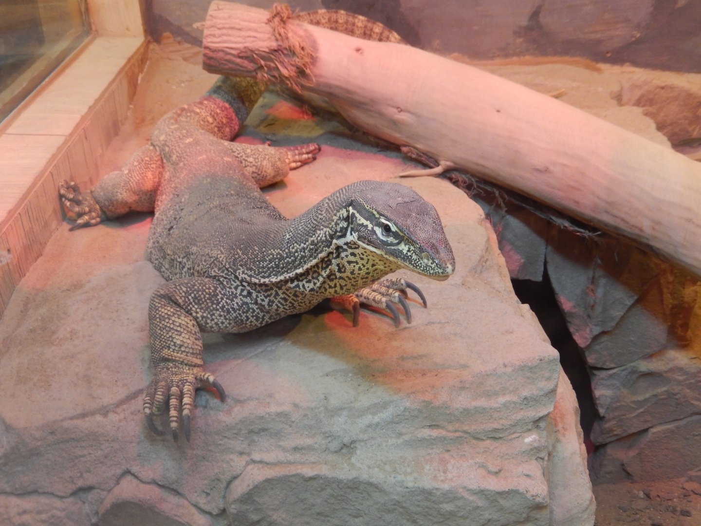 5/2/2018 - Argus Monitor